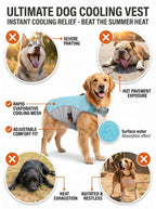 Reflective Dog Cooling Vest & Harness | Outdoor Training Cooler Jacket with Water Bottle