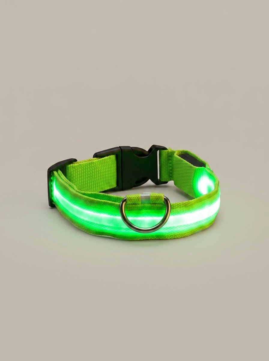 LED Dog Collar | Glow in the Dark Safety Collar with 4 Flashing Light Modes for Night Walking