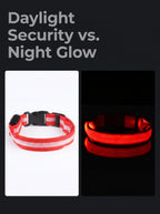 LED Dog Collar | Glow in the Dark Safety Collar with 4 Flashing Light Modes for Night Walking