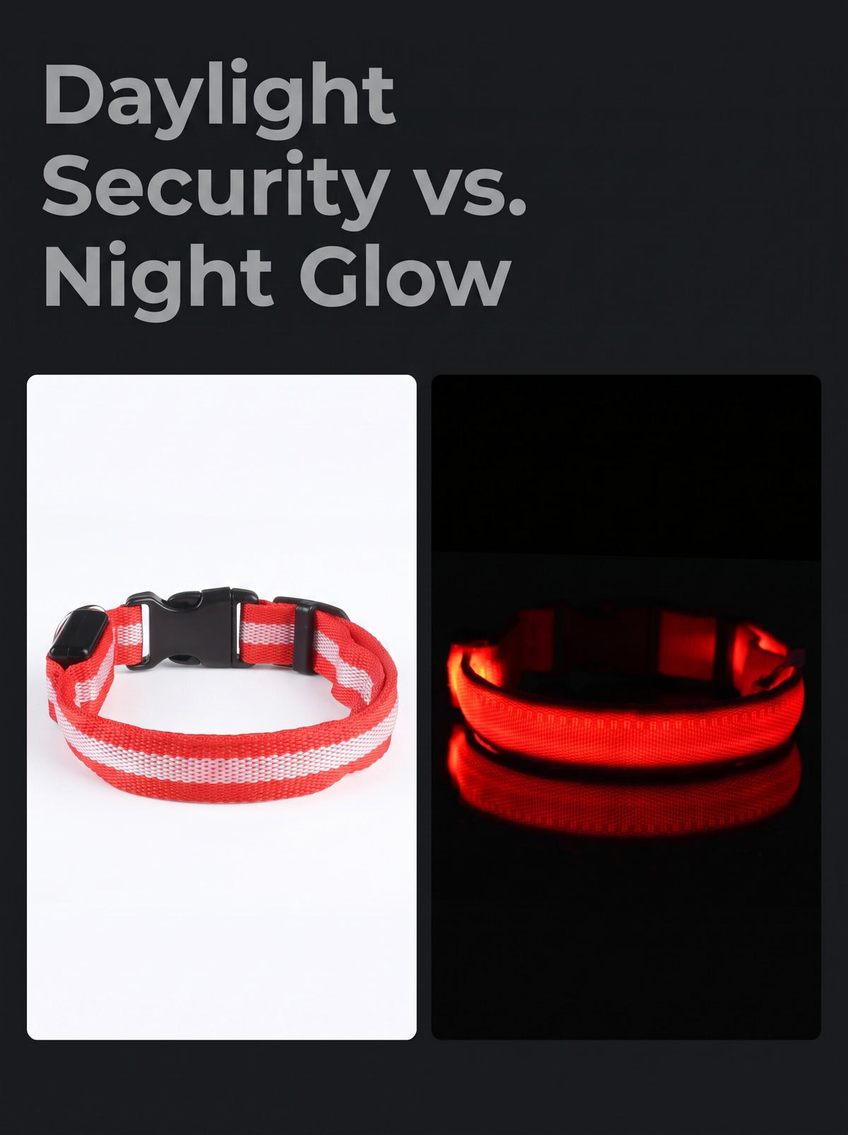 LED Dog Collar | Glow in the Dark Safety Collar with 4 Flashing Light Modes for Night Walking