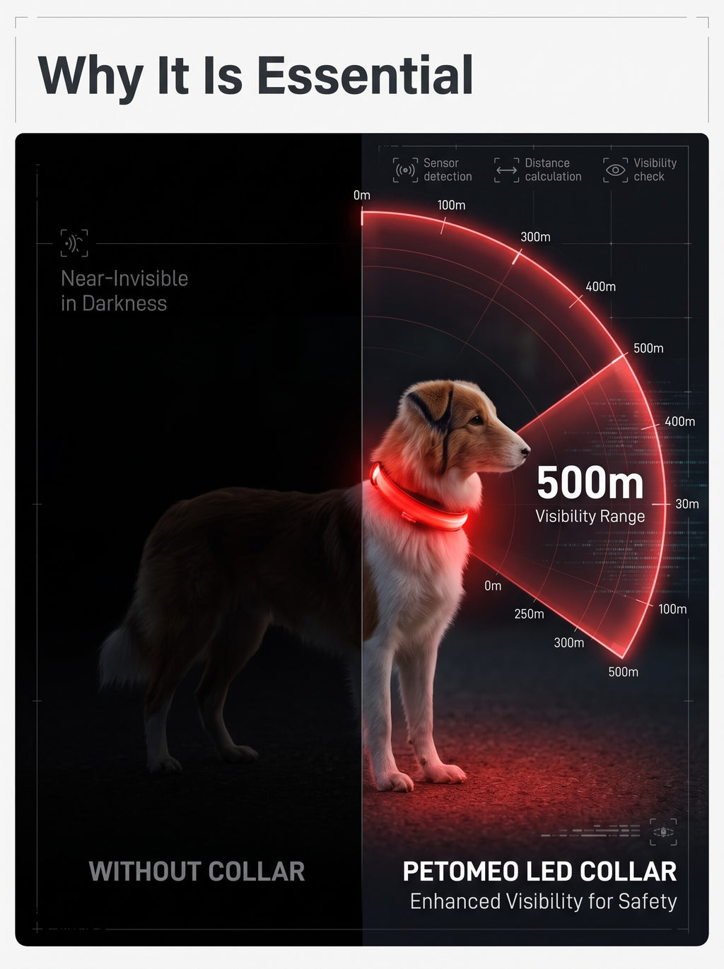 LED Dog Collar | Glow in the Dark Safety Collar with 4 Flashing Light Modes for Night Walking