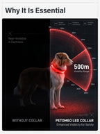 LED Dog Collar | Glow in the Dark Safety Collar with 4 Flashing Light Modes for Night Walking
