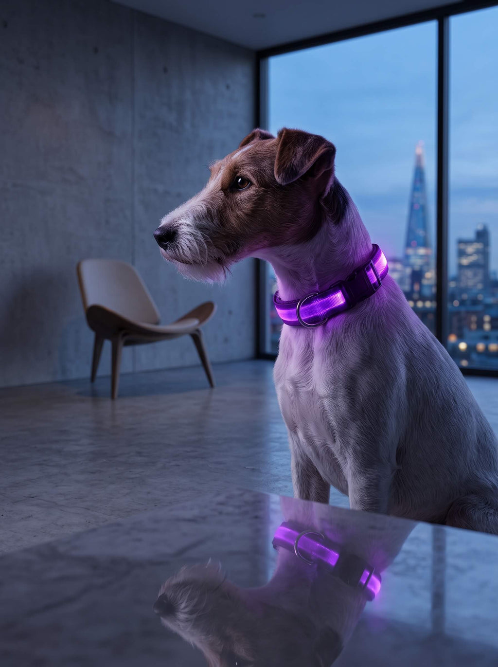 LED Dog Collar | Glow in the Dark Safety Collar with 4 Flashing Light Modes for Night Walking