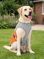 Reflective Dog Cooling Vest & Harness | Outdoor Training Cooler Jacket with Water Bottle