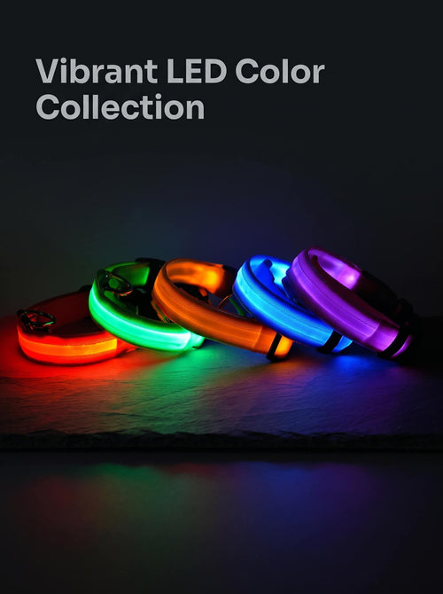 LED Dog Collar | Glow in the Dark Safety Collar with 4 Flashing Light Modes for Night Walking