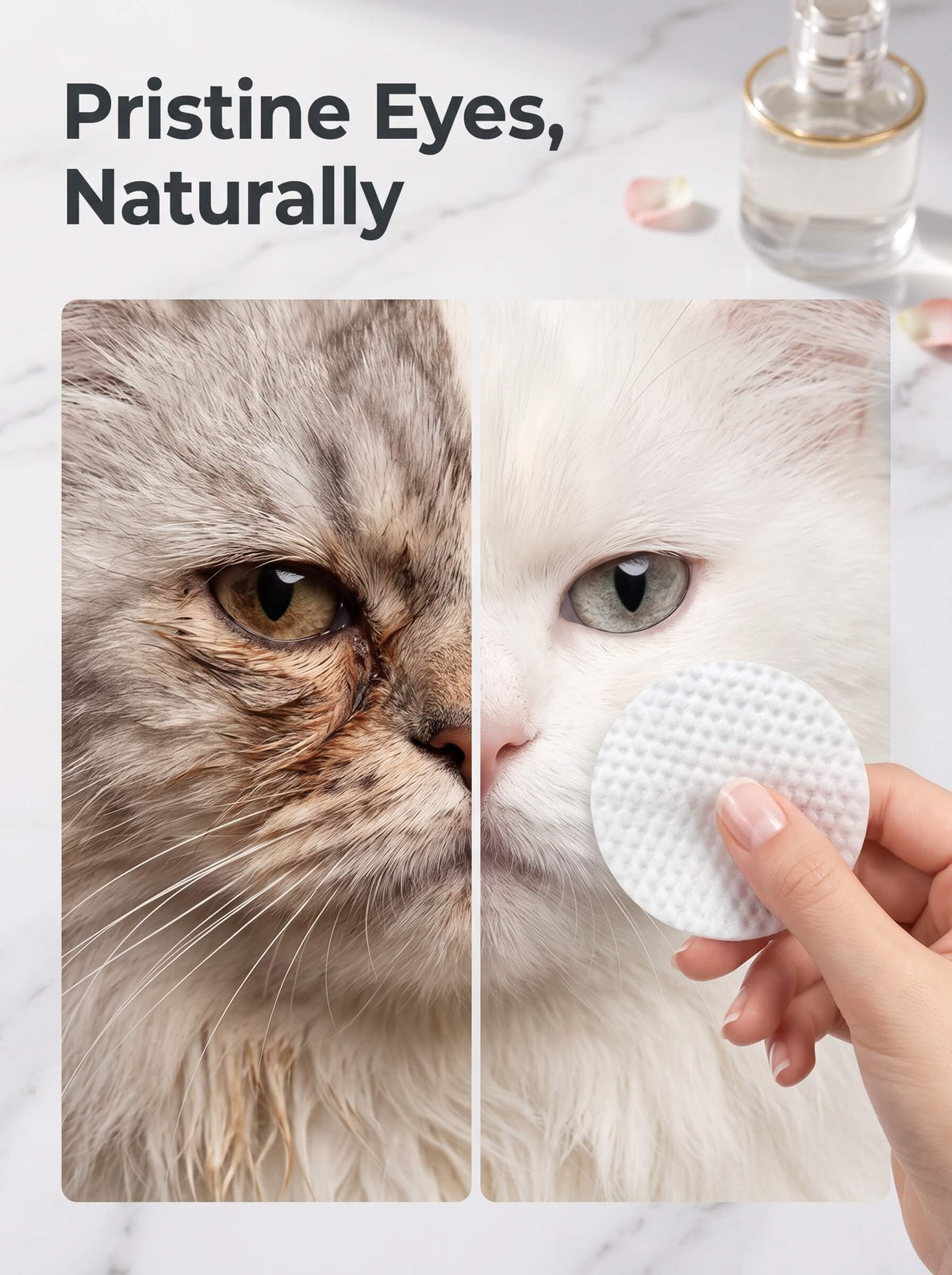 Pet Eye Wipes | Tear Stain Remover Cleaning Wipes for Cats and Dogs