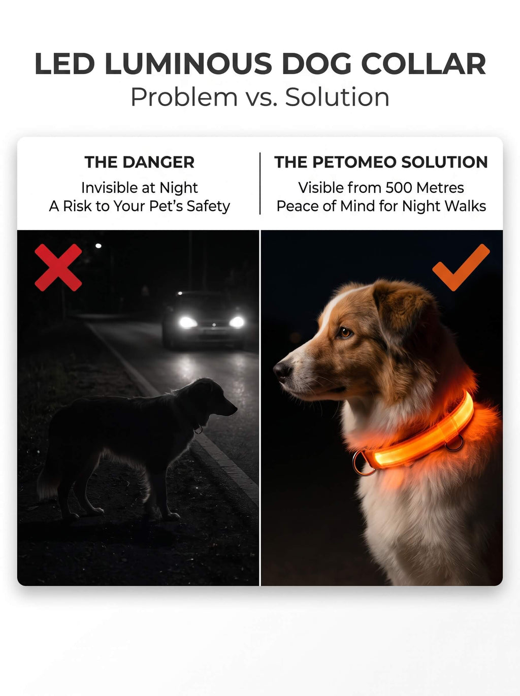 LED Dog Collar | Glow in the Dark Safety Collar with 4 Flashing Light Modes for Night Walking