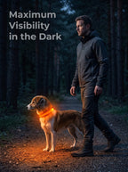 LED Dog Collar | Glow in the Dark Safety Collar with 4 Flashing Light Modes for Night Walking