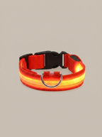 LED Dog Collar | Glow in the Dark Safety Collar with 4 Flashing Light Modes for Night Walking
