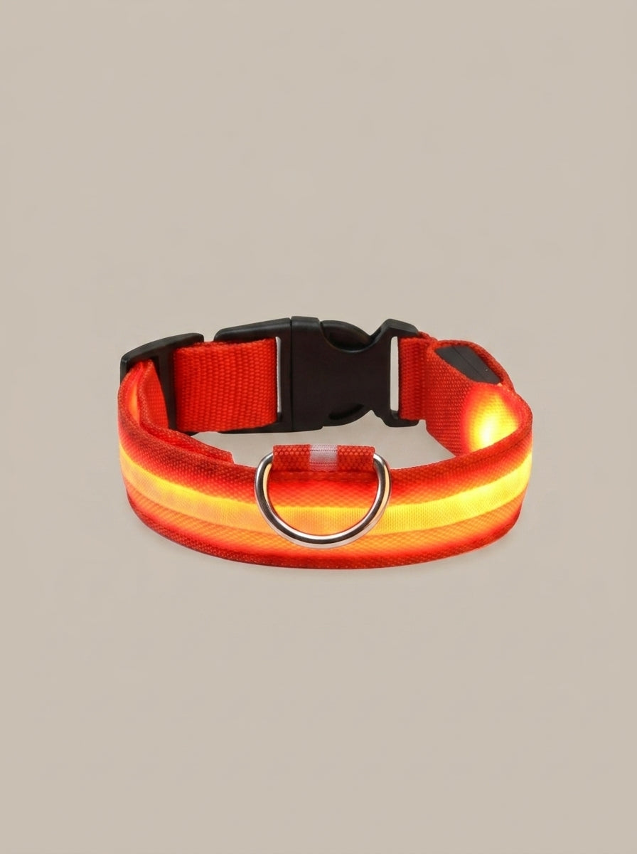 LED Dog Collar | Glow in the Dark Safety Collar with 4 Flashing Light Modes for Night Walking