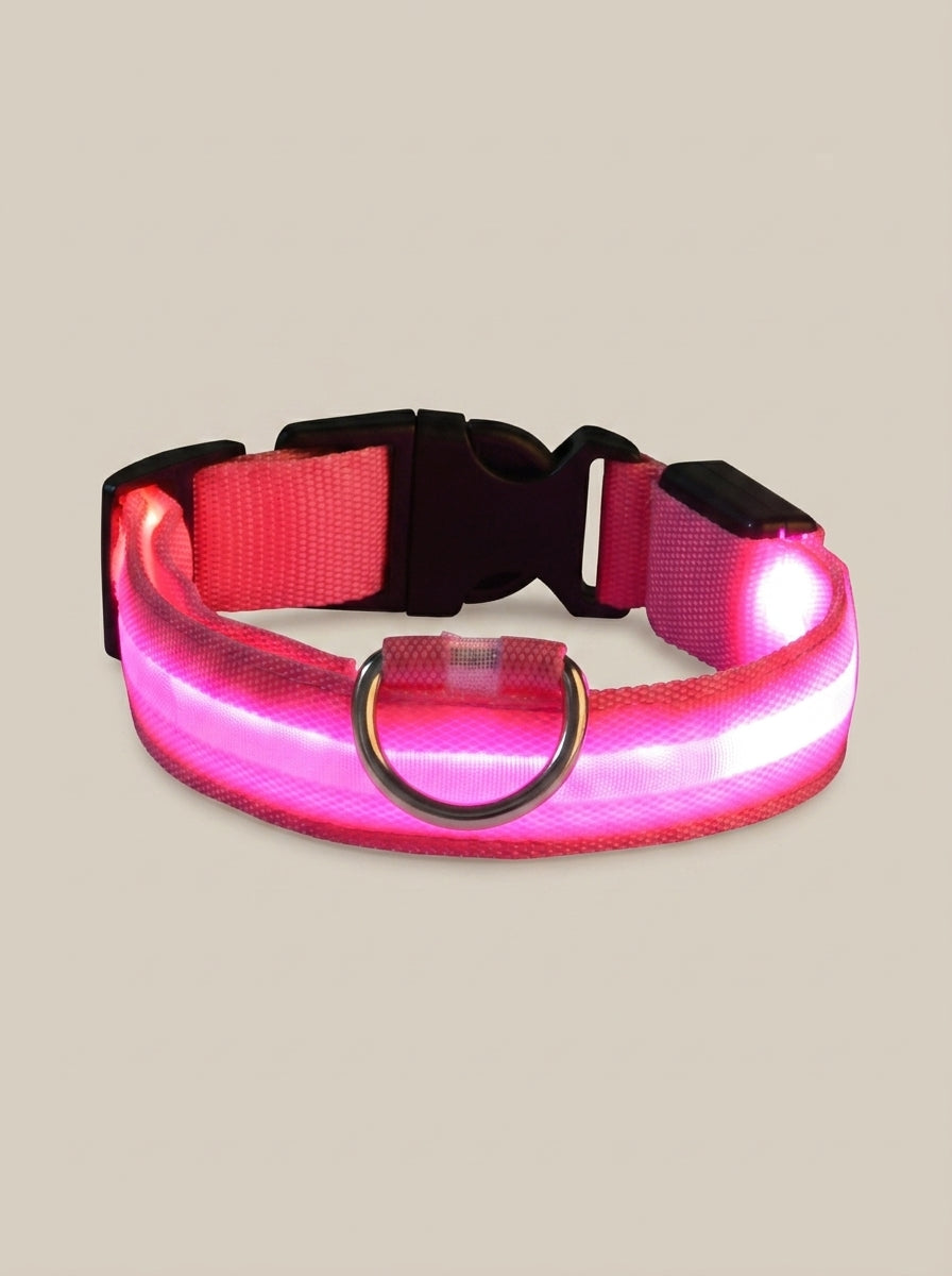 LED Dog Collar | Glow in the Dark Safety Collar with 4 Flashing Light Modes for Night Walking