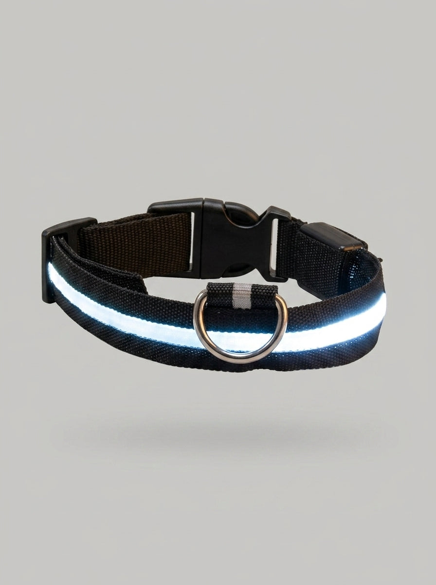 LED Dog Collar | Glow in the Dark Safety Collar with 4 Flashing Light Modes for Night Walking
