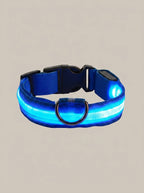 LED Dog Collar | Glow in the Dark Safety Collar with 4 Flashing Light Modes for Night Walking