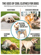 Reflective Dog Cooling Vest & Harness | Outdoor Training Cooler Jacket with Water Bottle