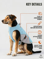 Reflective Dog Cooling Vest & Harness | Outdoor Training Cooler Jacket with Water Bottle